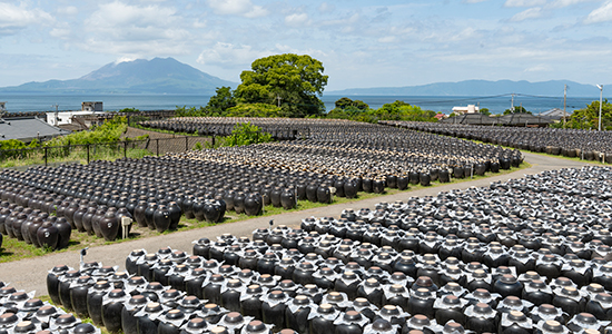坂元醸造　壺畑