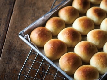 shutterstock_1030258624